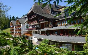 Hotel Schöne Aussicht Hornberg
